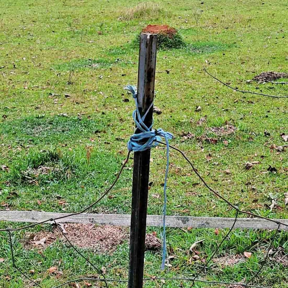 T Post wire fence cropped 11-20
