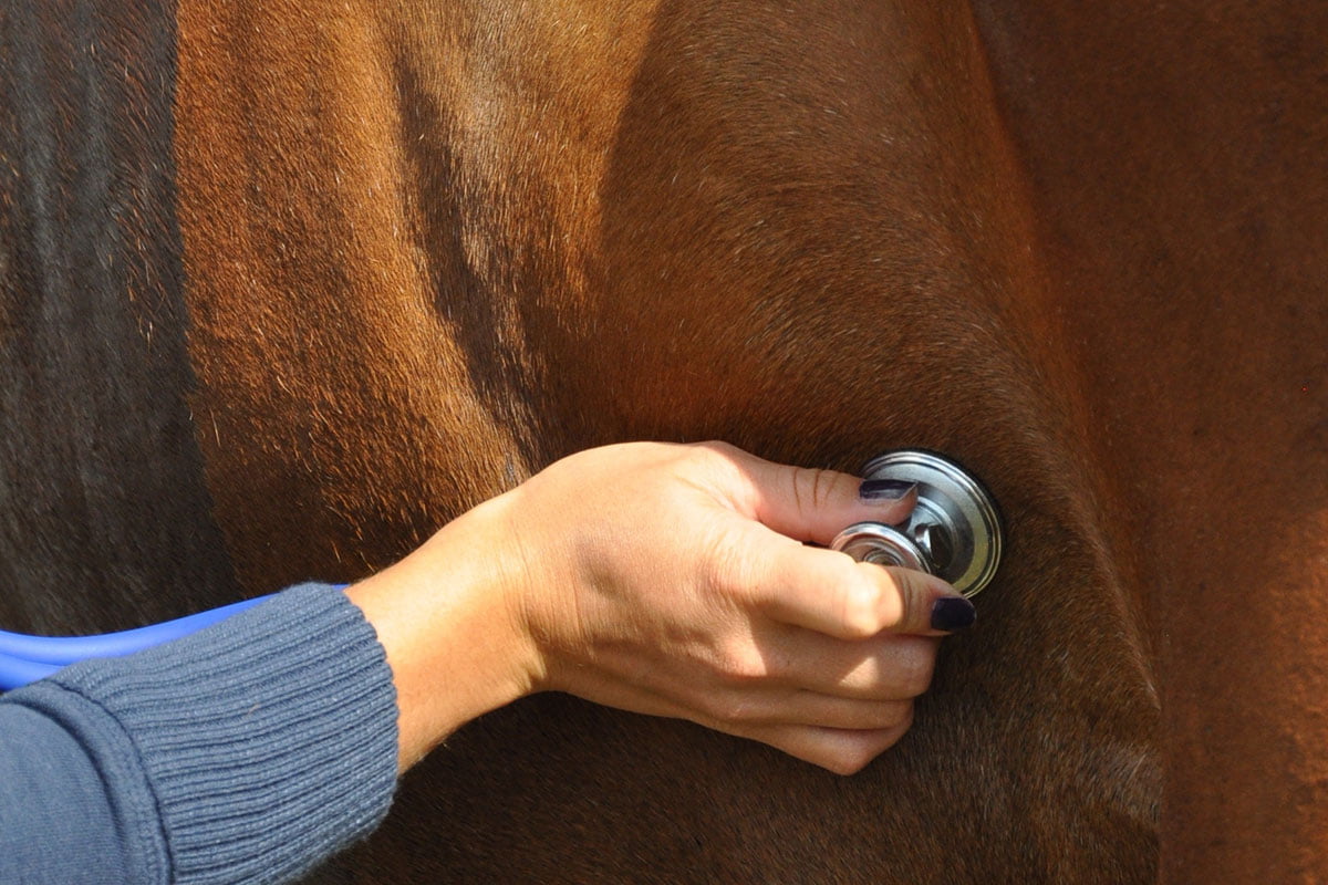 10 Tips for Preventing Colic